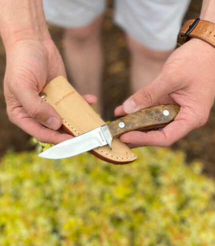 Fixed blade bird knife